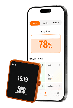 Maquette top Maquette top